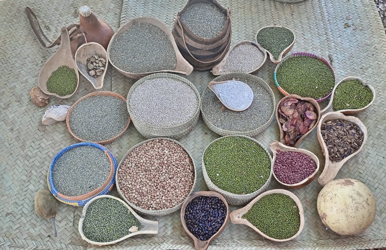 A variety of traditional seeds from the Tharaka communities.