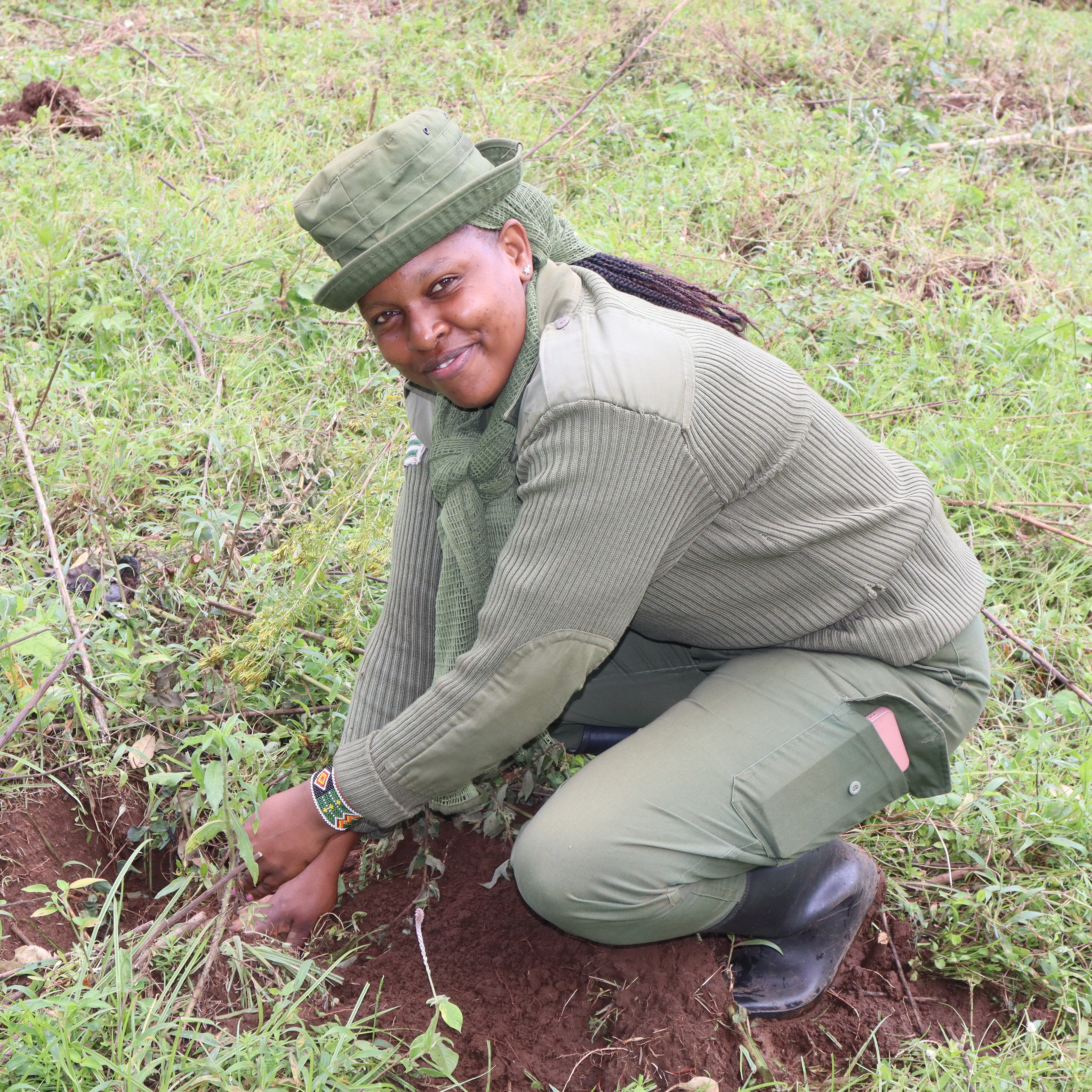 A Kenya Forest Ranger planting a tree seedling in Uplands Forest.