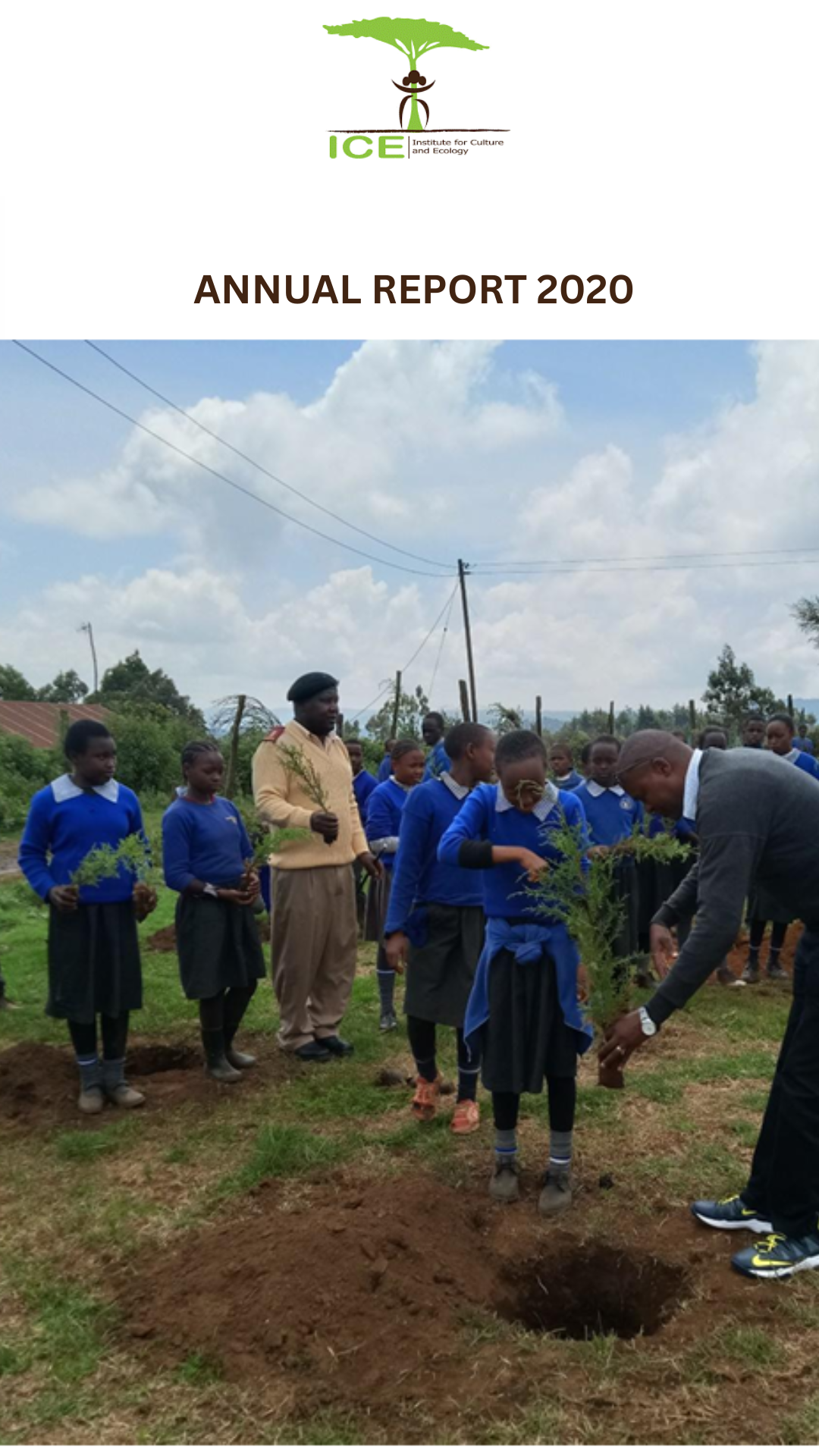 ICE ANNUAL REPORT 2020